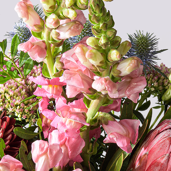 Full of Joy mit Premiumvase & Halloren Kugeln