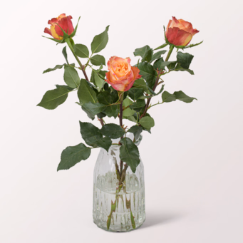 3 orange-rote Rosen