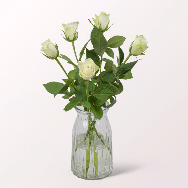5 weiße Rosen