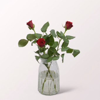 3 red Roses