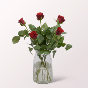 5 rote Rosen