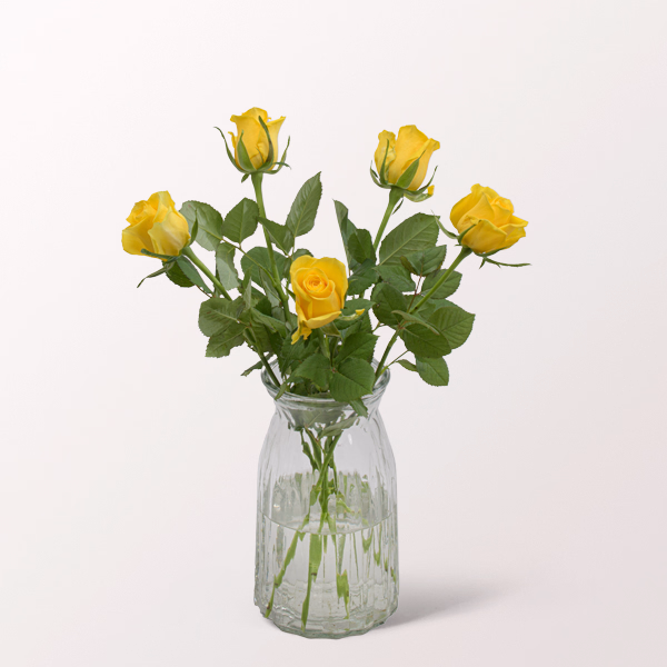 5 gelbe Rosen