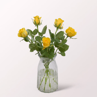 5 yellow Roses