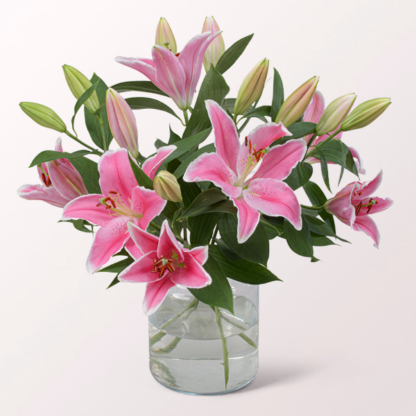 5 rosa Lilien