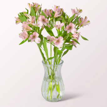 5 light pink Alstroemerie