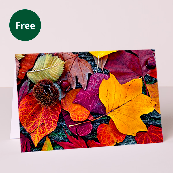 Flower Bouquet Landpartie with Halloren O´s & vase