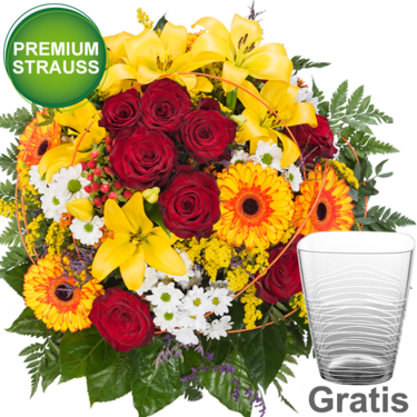 Premiumstrauß Brasilia Premiumstrauß Brasilia