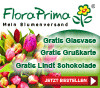Vorteile