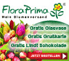 Vorteile