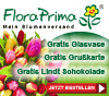 Vorteile