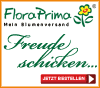 Vorteile