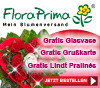 Vorteile