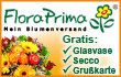 Vorteile