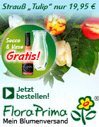 Vorteile