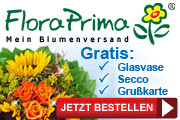 Vorteile