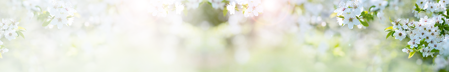 Summer plants