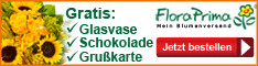 Vorteile