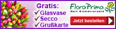 Vorteile