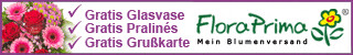 Vorteile
