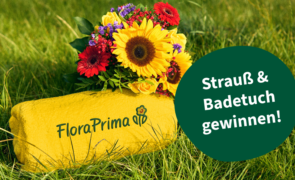 Instagram Gewinnspiel Strandtuch
