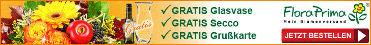 Vorteile