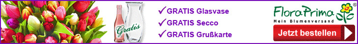 Vorteile