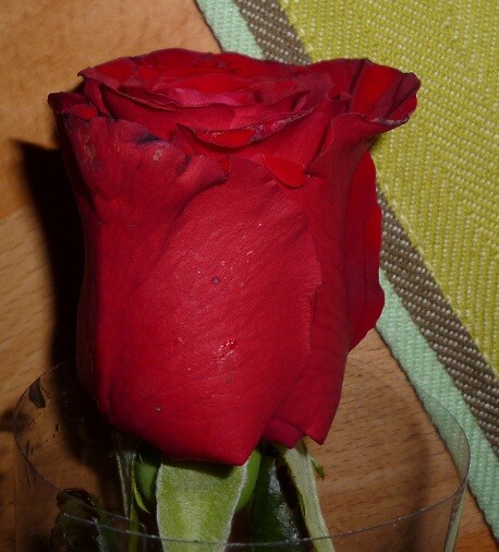 Vorteile