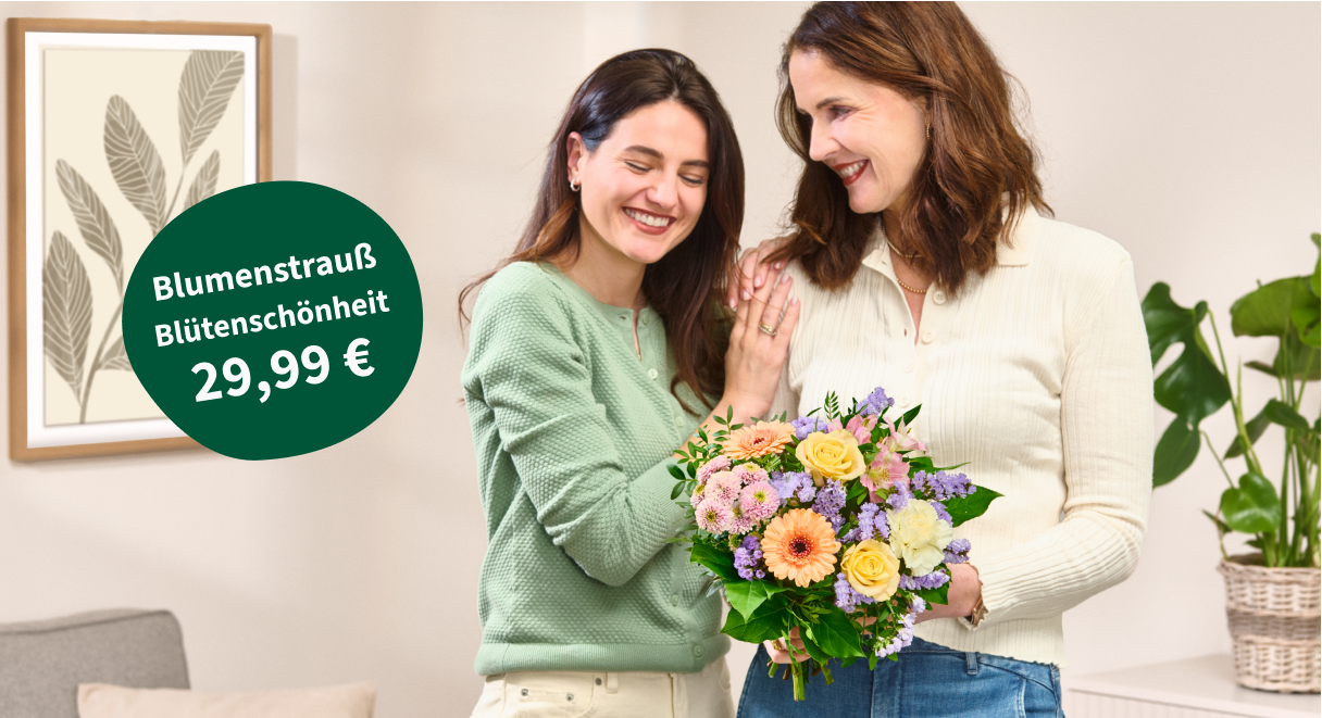 Blumenstrauß Blütenschönheit für 29,99 €
