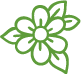 blume blume