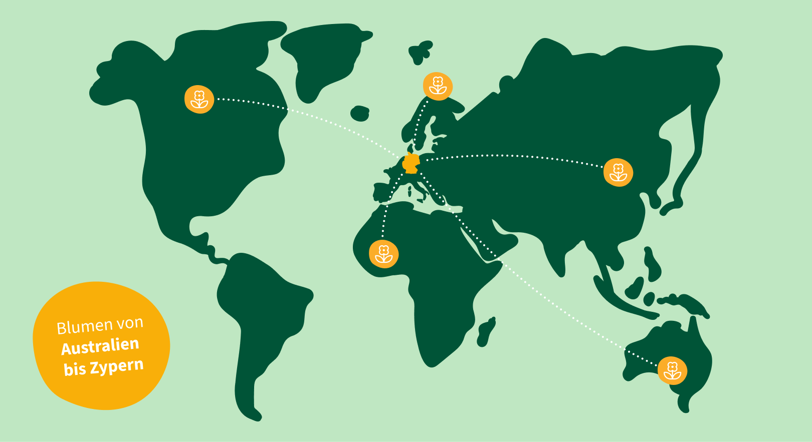 Flowers from Australia to Cypres
