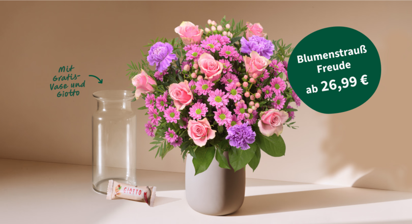 Blumenstrauß Freude mit 2 Gratis Geschenken ab 26,99 €