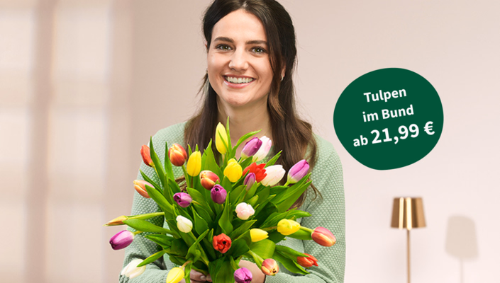 Tulpen im Bund ab 21,99 €