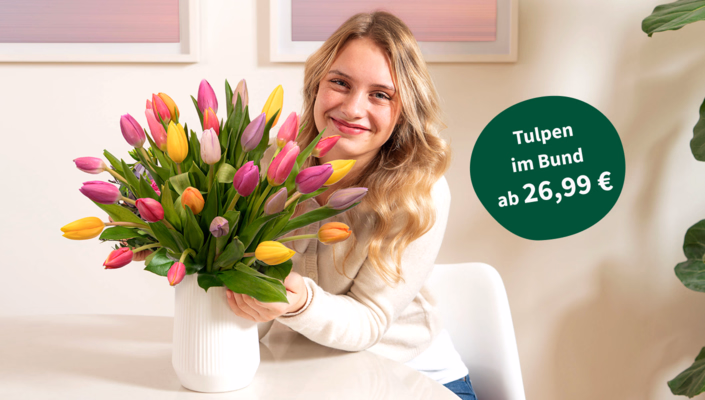 Tulpen im Bund ab 26,99 €