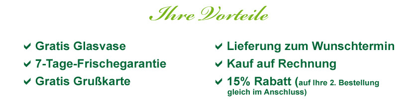 Vorteile