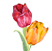 Ostern & Frühling