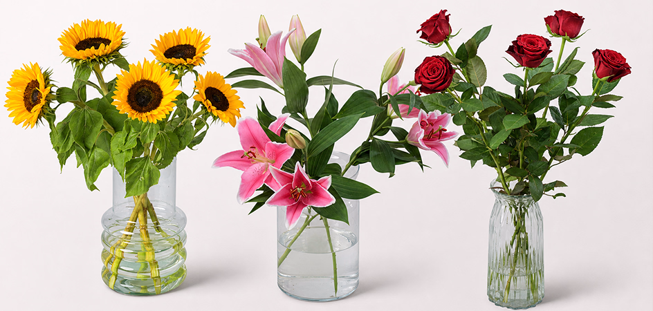Vorschau auf unsere Schnittblumen