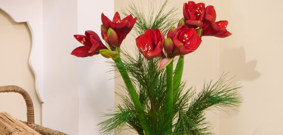Romantic bouquets