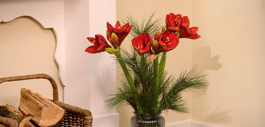 Weihnachtsgeschenke unter 30 €