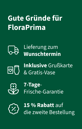 USP Einfach so