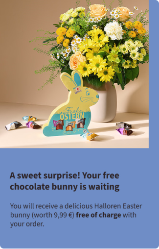 Oster-Aktion Halloren klein