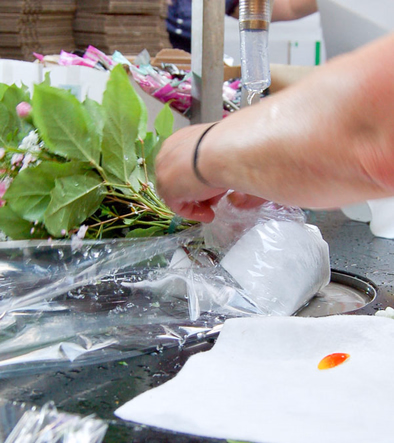 we guarantee the freshness during delivery.