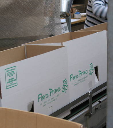 before shipping. 