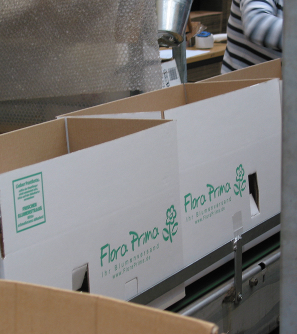 before shipping. 