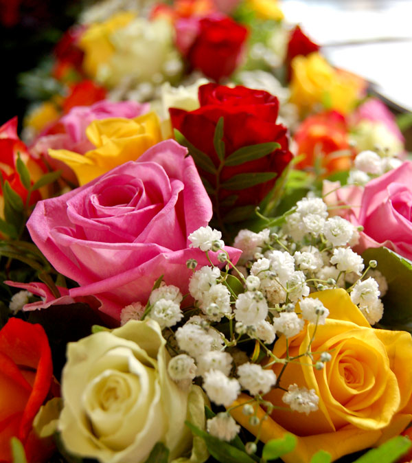 Fresh flowers Fresh flowers