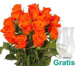 20 orange Rosen 20 orange Rosen