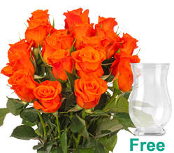 20 orange roses 20 orange roses
