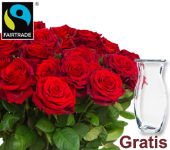 Rote FAIRTRADE Rosen Rote FAIRTRADE Rosen