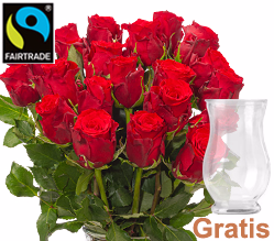 Rote Fairtrade Rosen