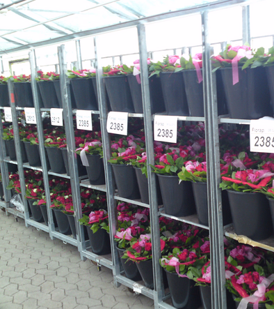 delivered fresh every day.