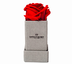 1 rote haltbare Rose 1 rote haltbare Rose